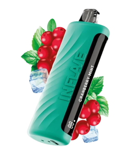 INFLAVE OMEGA Клюква Мята 10000 затяжек