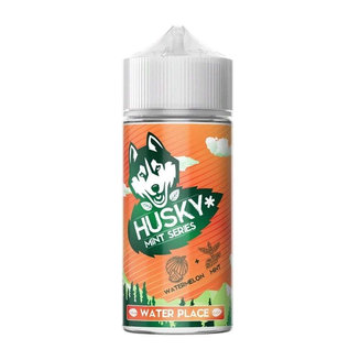 Жидкость HUSKY MINTsalt WATER PLACE Арбуз Мята 30 мл