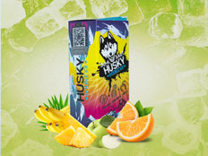 Жидкость HUSKY double ice salt FROSTY PALM Лёд Тропические Фрукты 30 мл