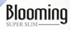 Сигареты Blooming